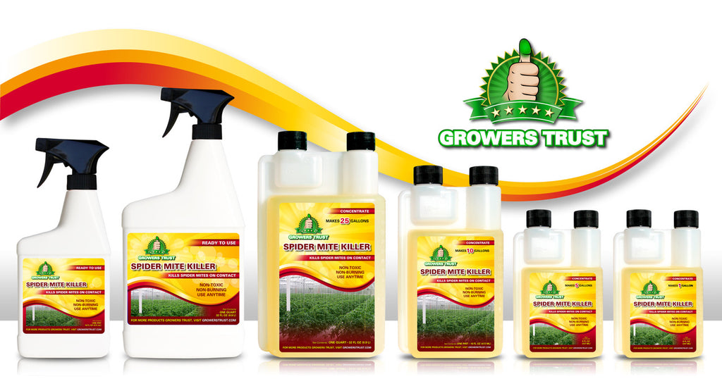 Spider Mite Killer