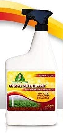 spider mite spray for indoor plants Spider Mite Killer