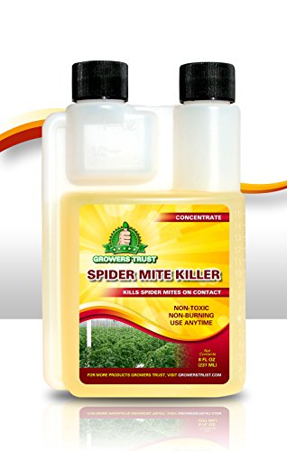 plant spray for spider mites Spider Mite Killer